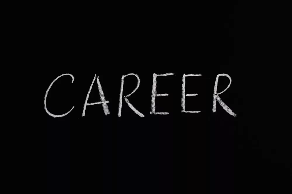 The Dynamic World of Employment: Navigating Our Professional Journeys